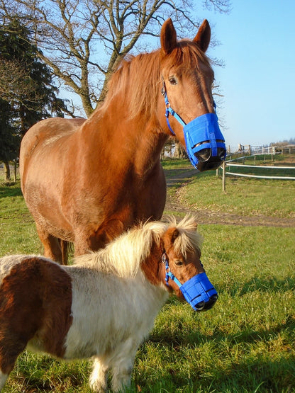 Grazing muzzle Zephyr Short Cob (Thoroughbred)