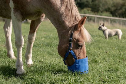 Grazing muzzle Zephyr Short Cob (Thoroughbred)