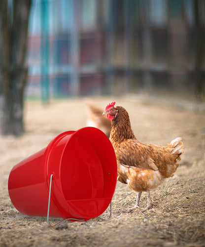 Poultry plastic drinking bucket 6 l red