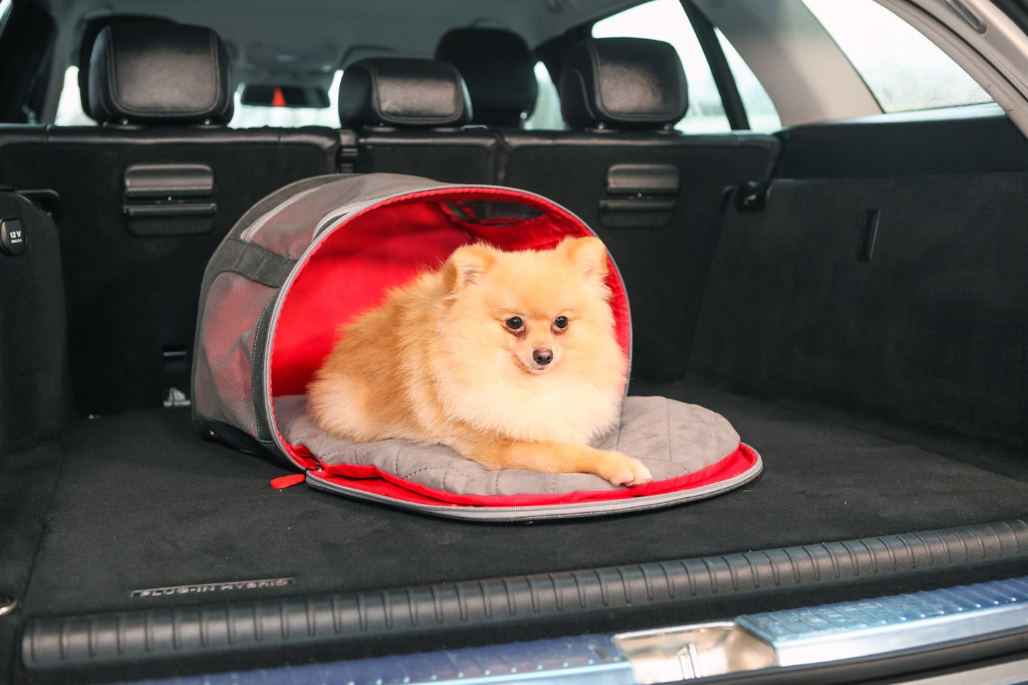 KONG 2-In-1 Pet Carrier and Travel Mat