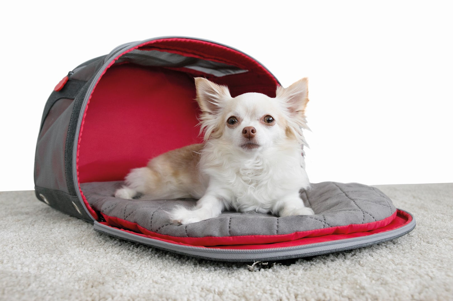 KONG 2-In-1 Pet Carrier and Travel Mat