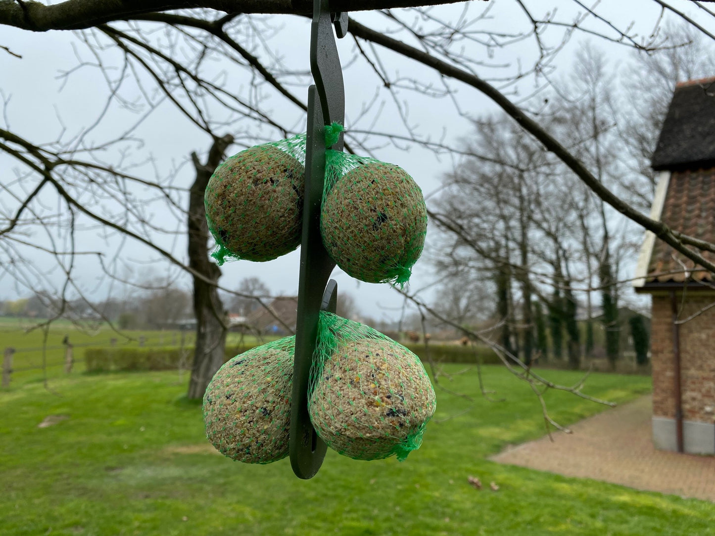 Feed station for birds, suspension for suet balls