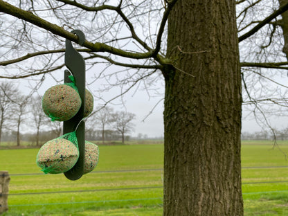 Feed station for birds, suspension for suet balls