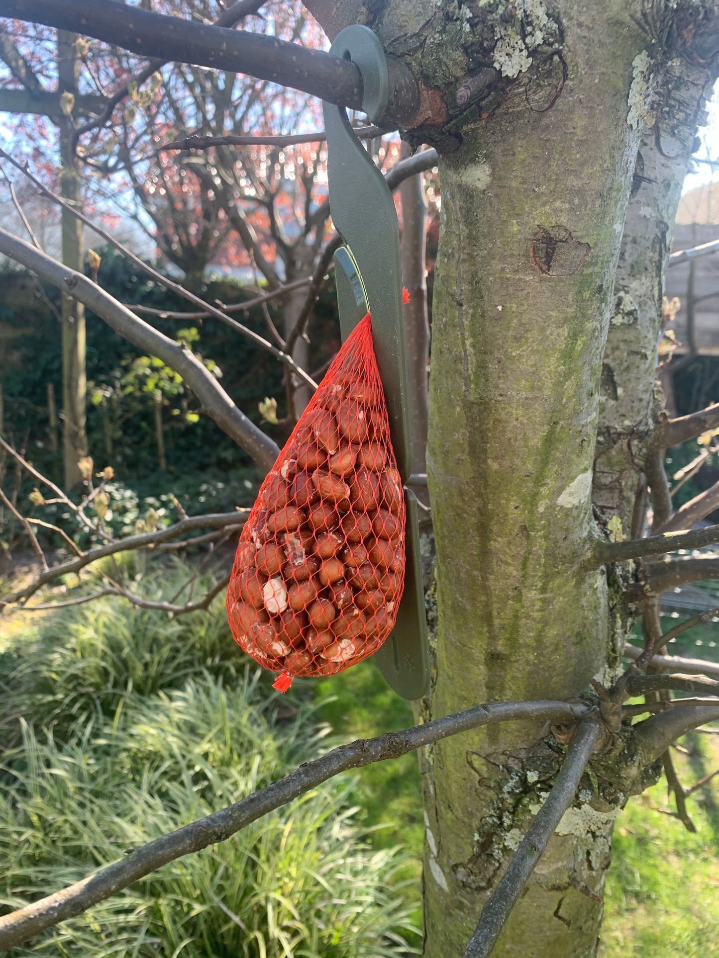 Feed station for birds, suspension for suet balls