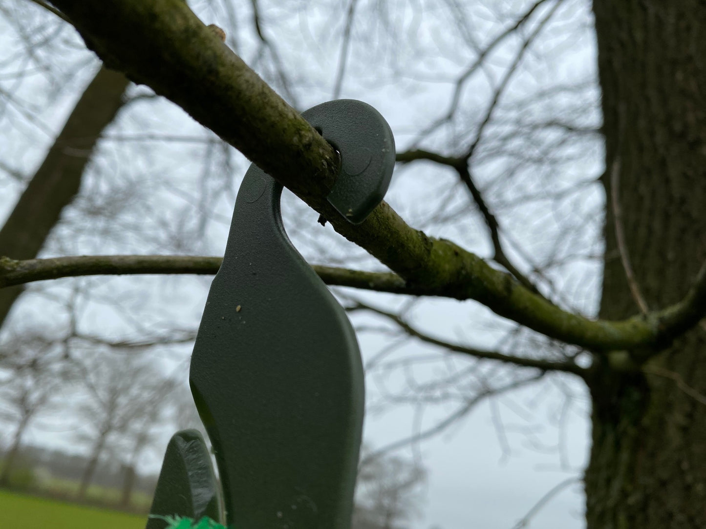 Feed station for birds, suspension for suet balls