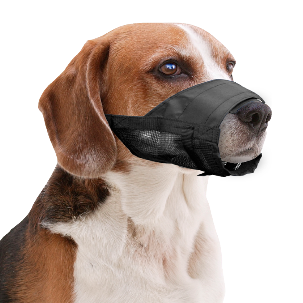 Pawise Muzzle Adjustable XL