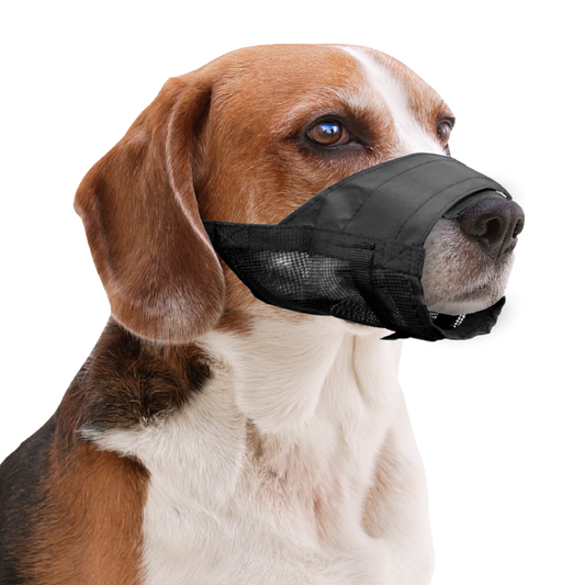 Pawise Muzzle Adjustable XL