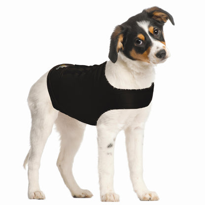 ZenDog Compression Shirt X Small