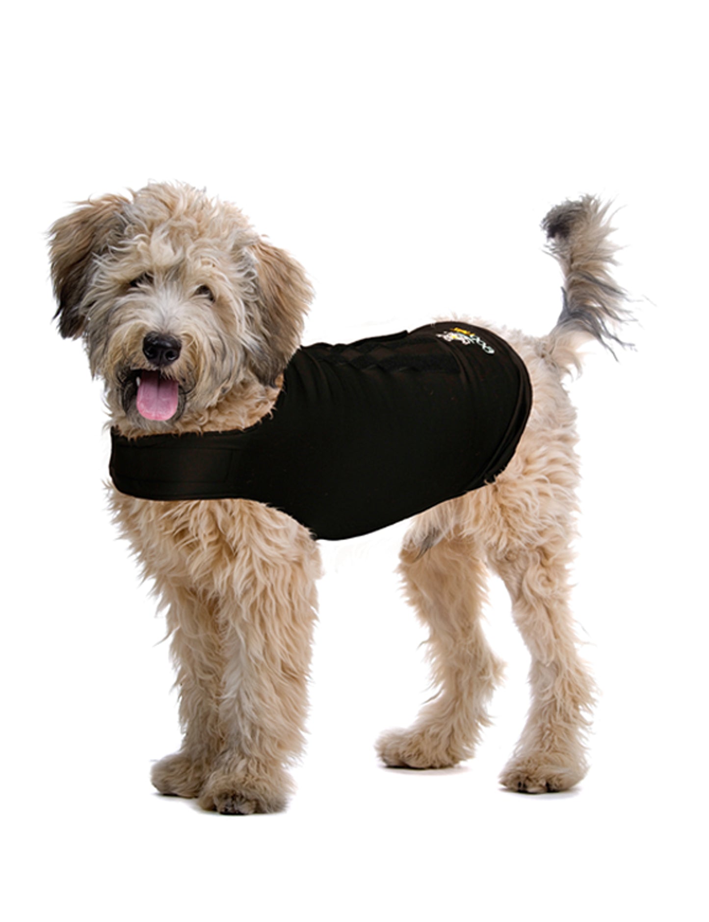 ZenDog Compression Shirt X Small