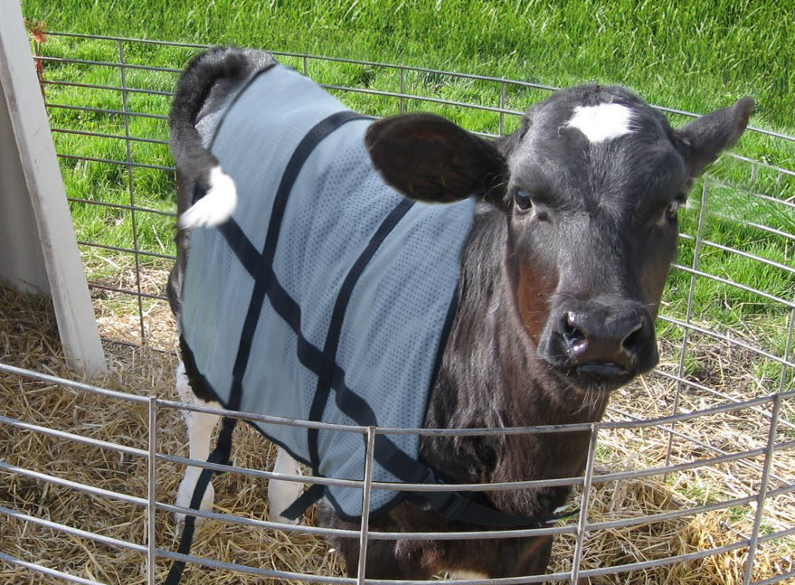 Bodyguard Calf Summer blanket