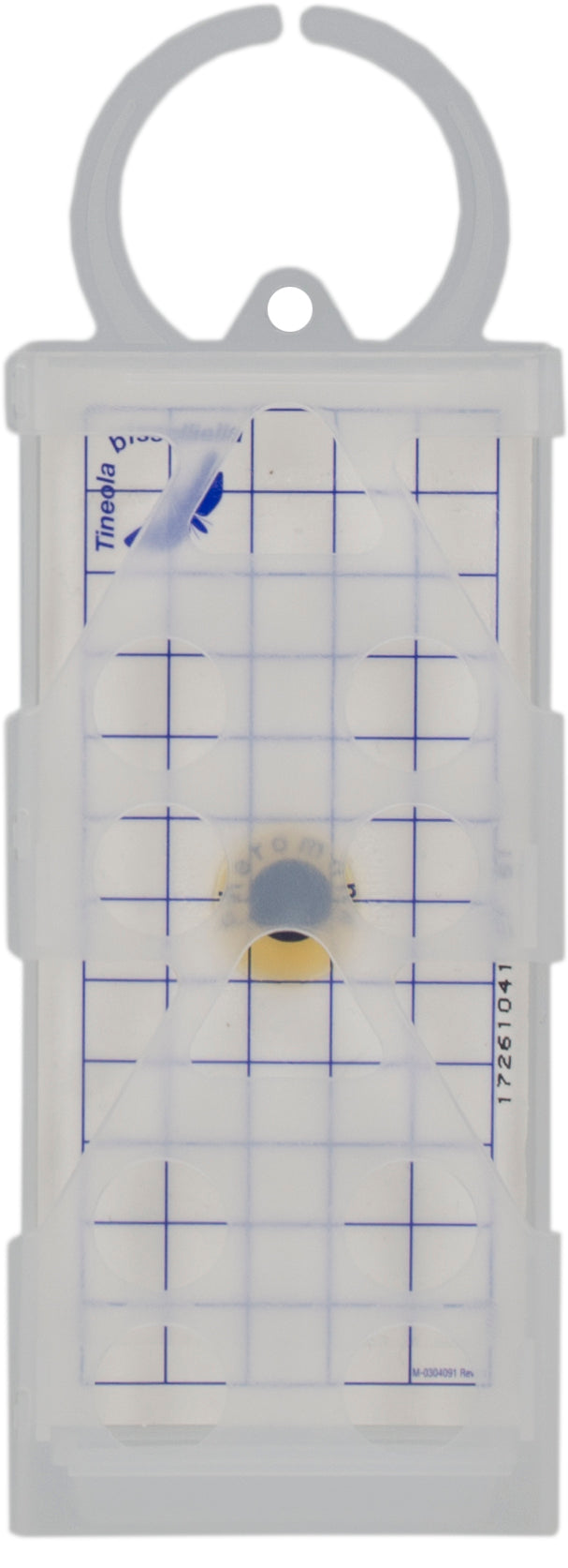 Geo Clothes Moth Glue Pad (Tineola bisselliella)