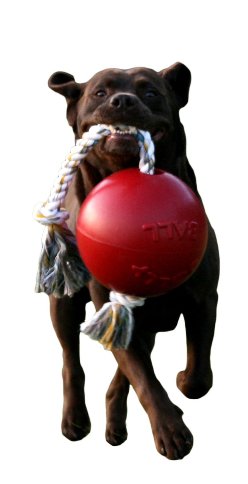 Jolly Ball Romp-n-Roll 10 cm Red