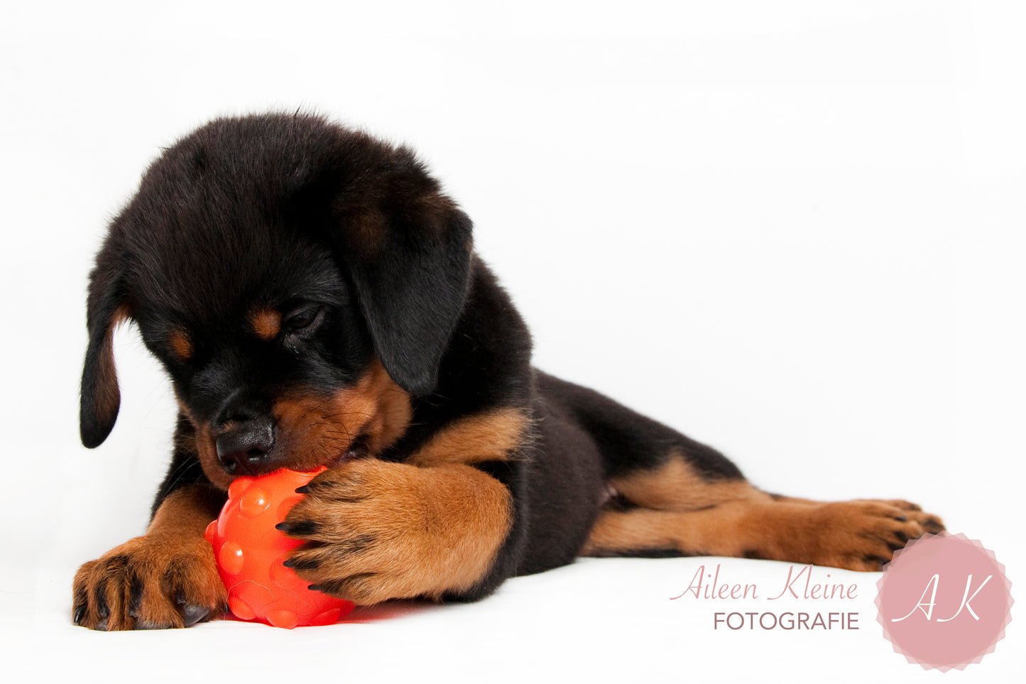 Jolly Jumper Ball 7,5 cm Orange