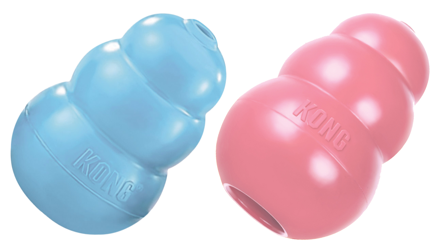 KONG Puppy M 8,6 cm Blue or Rose