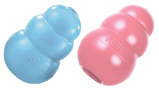 KONG Puppy M 8,6 cm Blue or Rose