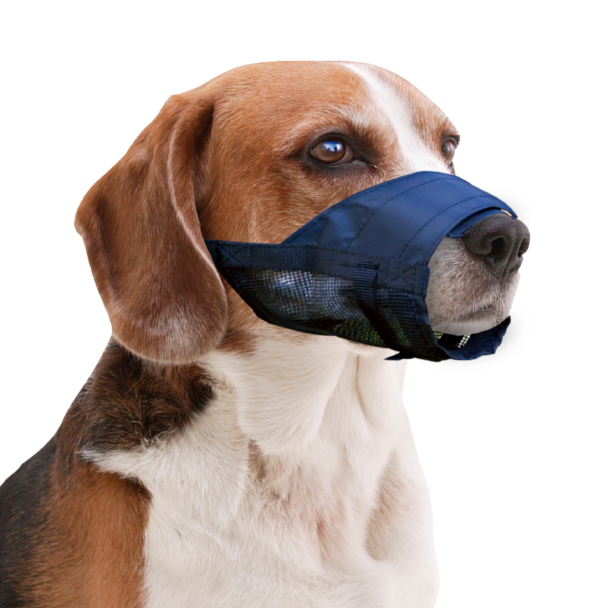 Pawise Muzzle Adjustable L