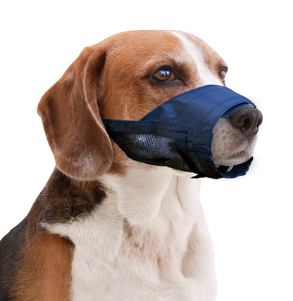 Pawise Muzzle Adjustable L