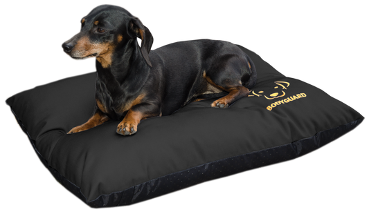 Bodyguard Elegant Pillow S Black