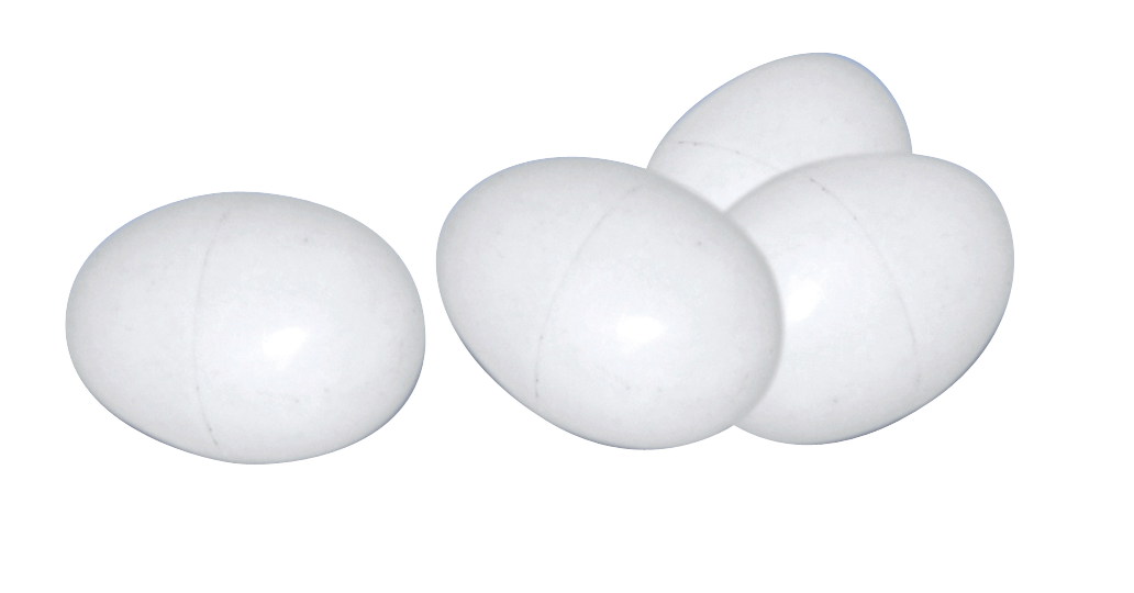 Poultry eggs plastic