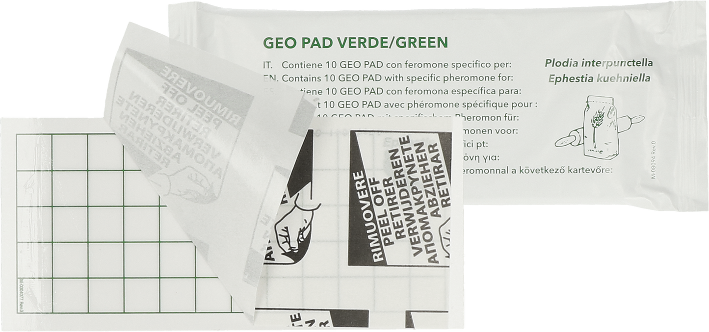 Geo Pantry Moth Glue Pad (Ephestia/Plodia)