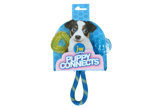 JW Puppy connects