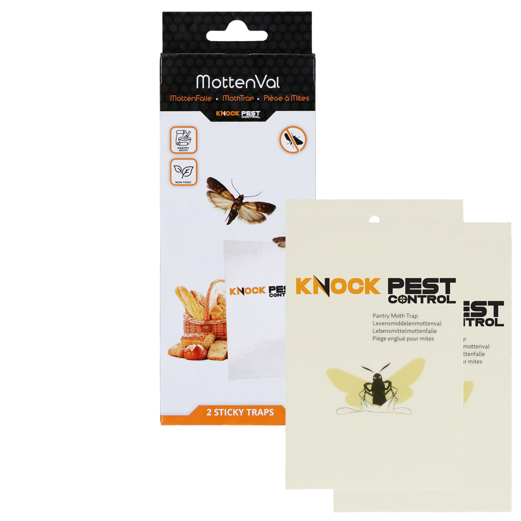 Knock Pest Pantry Moth Trap Flat