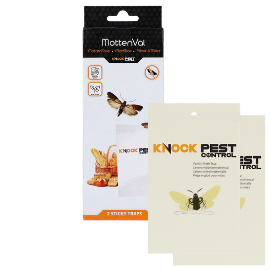 Knock Pest Pantry Moth Trap Flat