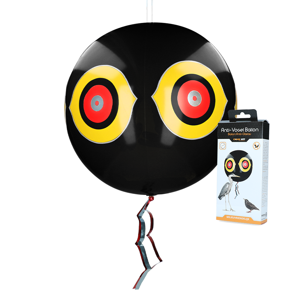 Knock Pest Scare balloon Black