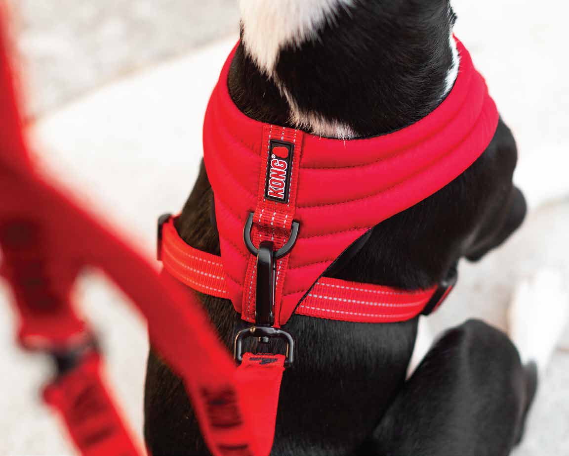 KONG Comfort harness  L Black