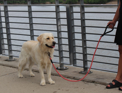 KONG Rope leash  One Size Red