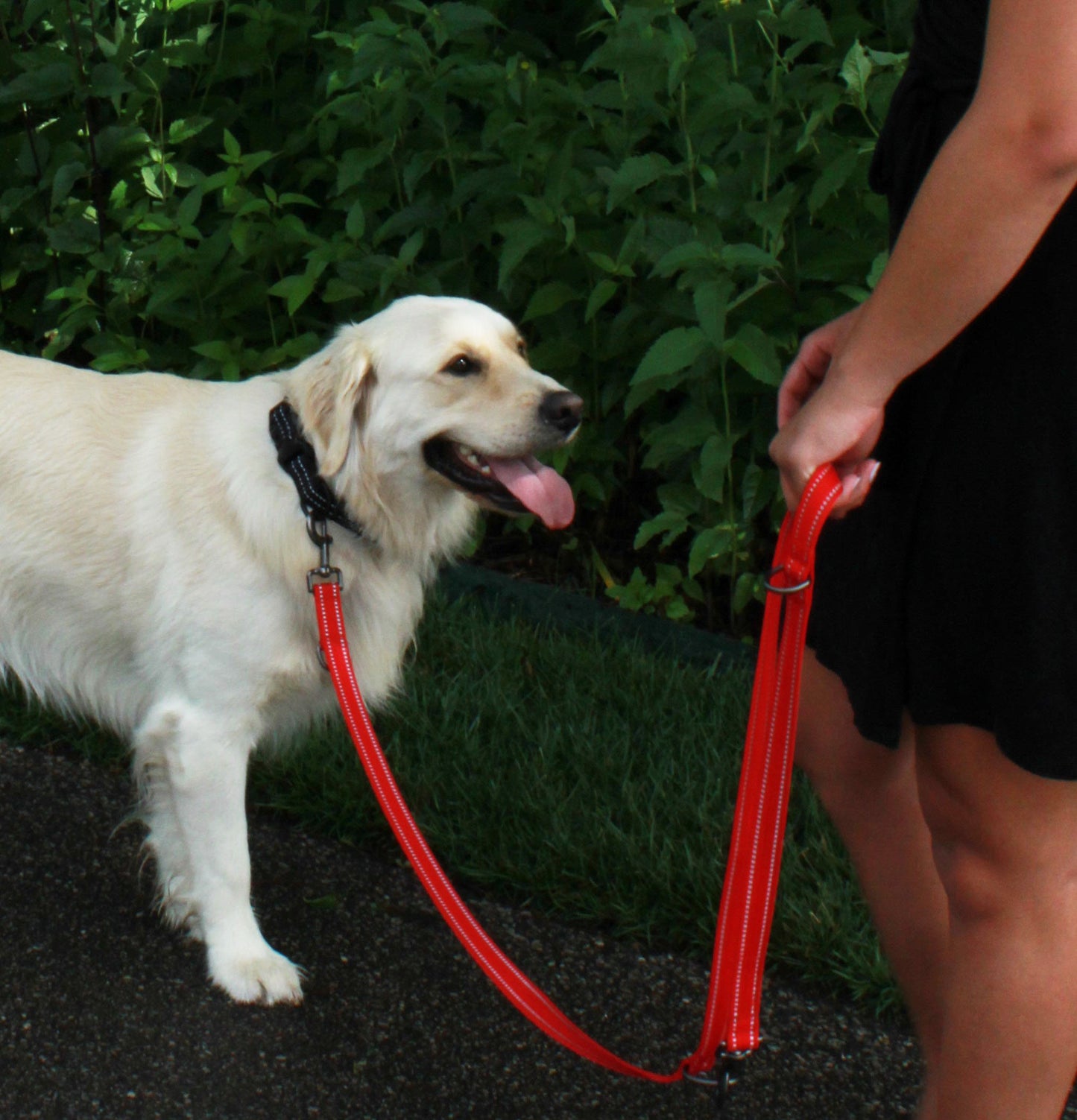 KONG Adjustable leash  M Red