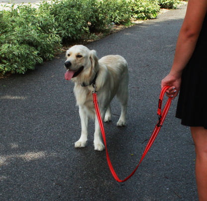 KONG Adjustable leash  M Red