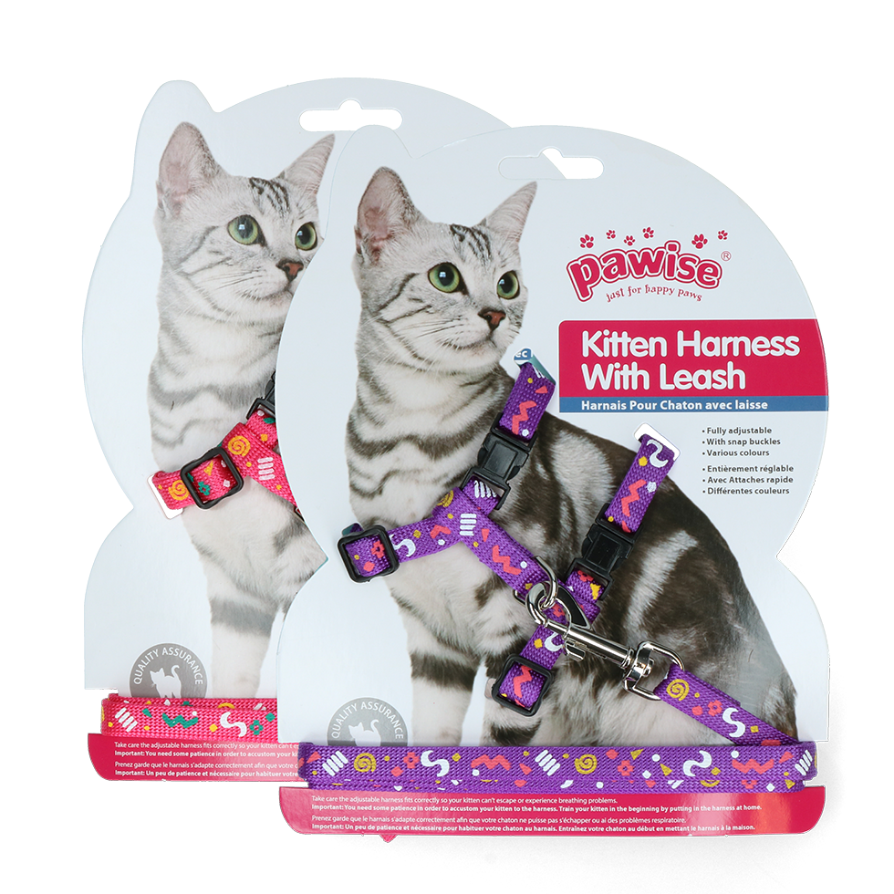 Pawise Kitten Harness Leash-Pink/Purple