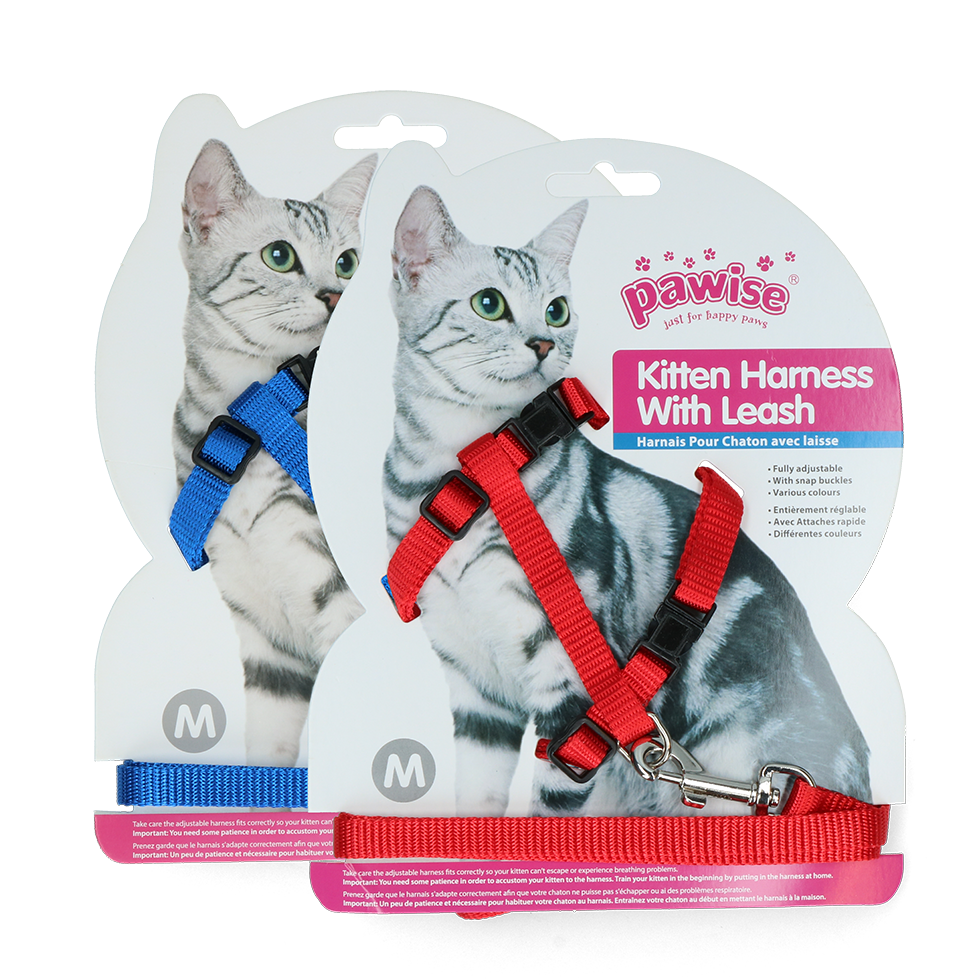 Pawise Kitten Harness Leash-Red/Blue