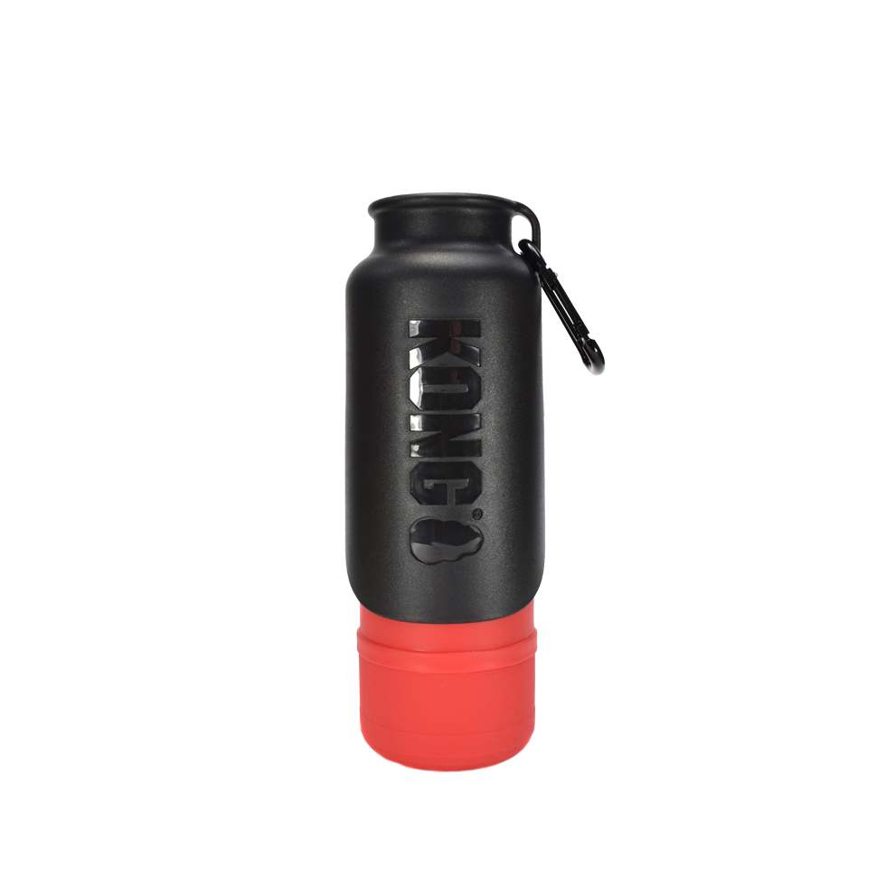 KONG H2O 700 ml Insulated Bottle Red