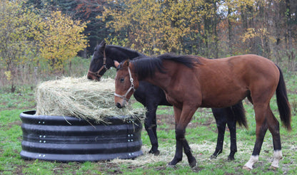 Hay Ring Feeder Ø 180 cm