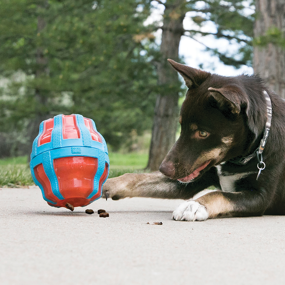 KONG Treat Spinner Lg