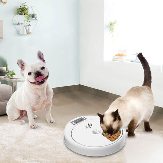 AFP Lifestyle 4 Pet-5 Meal Pet Feeder