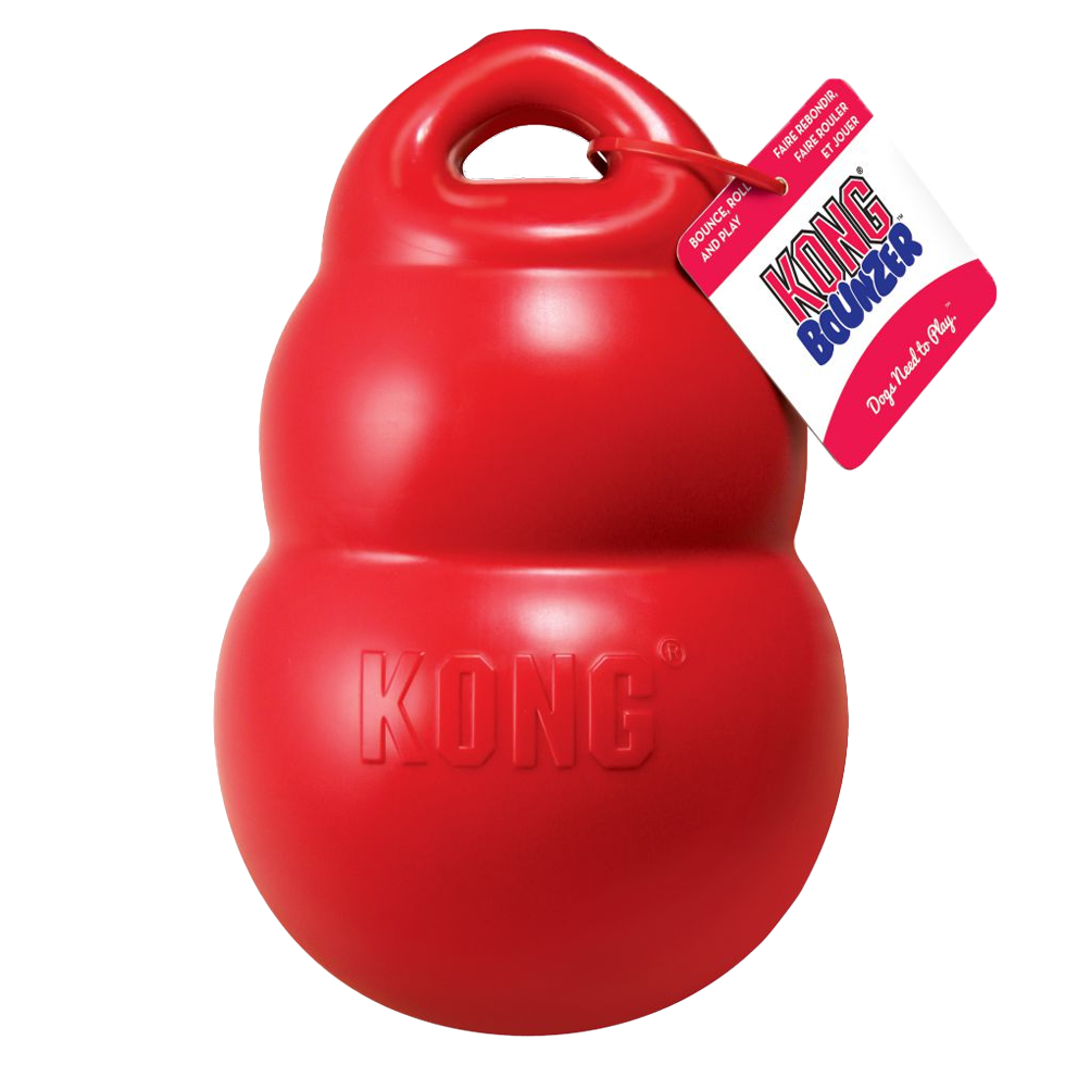 KONG Bounzer Large