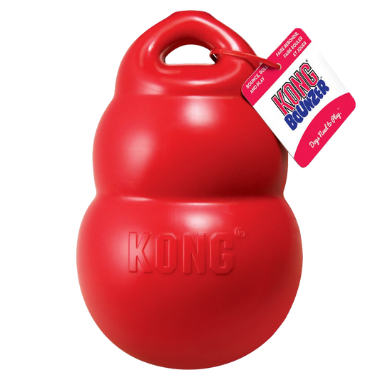 KONG Bounzer Large