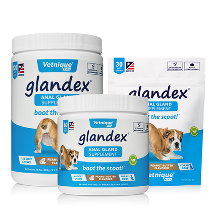 Glandex Soft Chew 240 g (60 pcs)