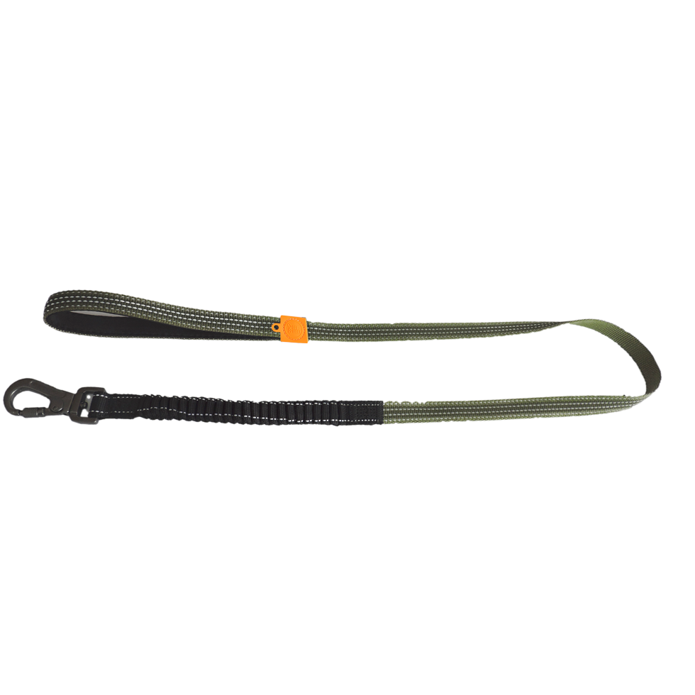 AFP Off Street Dog Leash Olive Green S