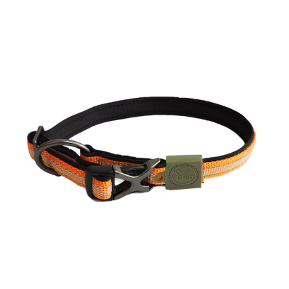 AFP Off Street Dog Collar Tangerine S