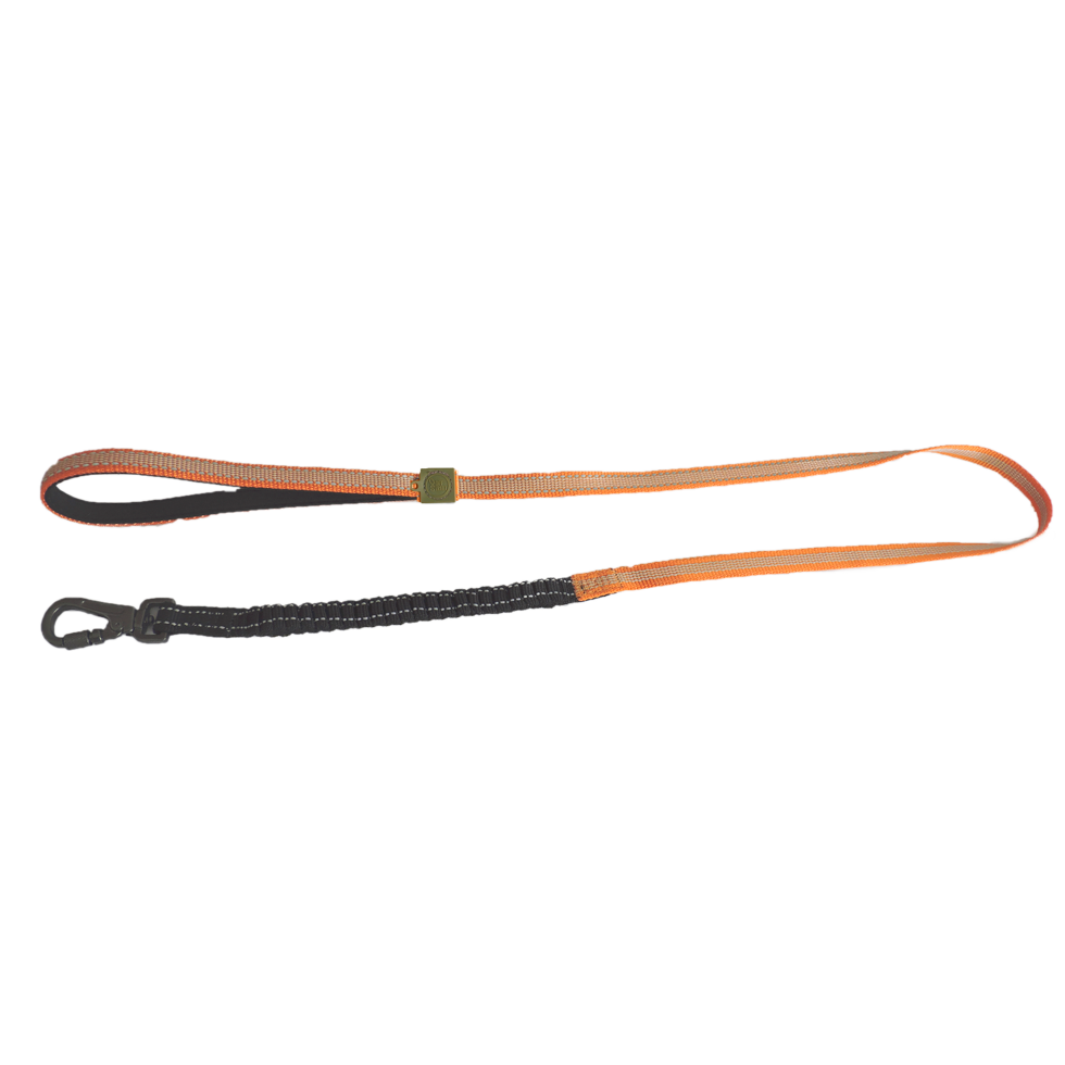 AFP Off Street Dog Leash Tangerine S