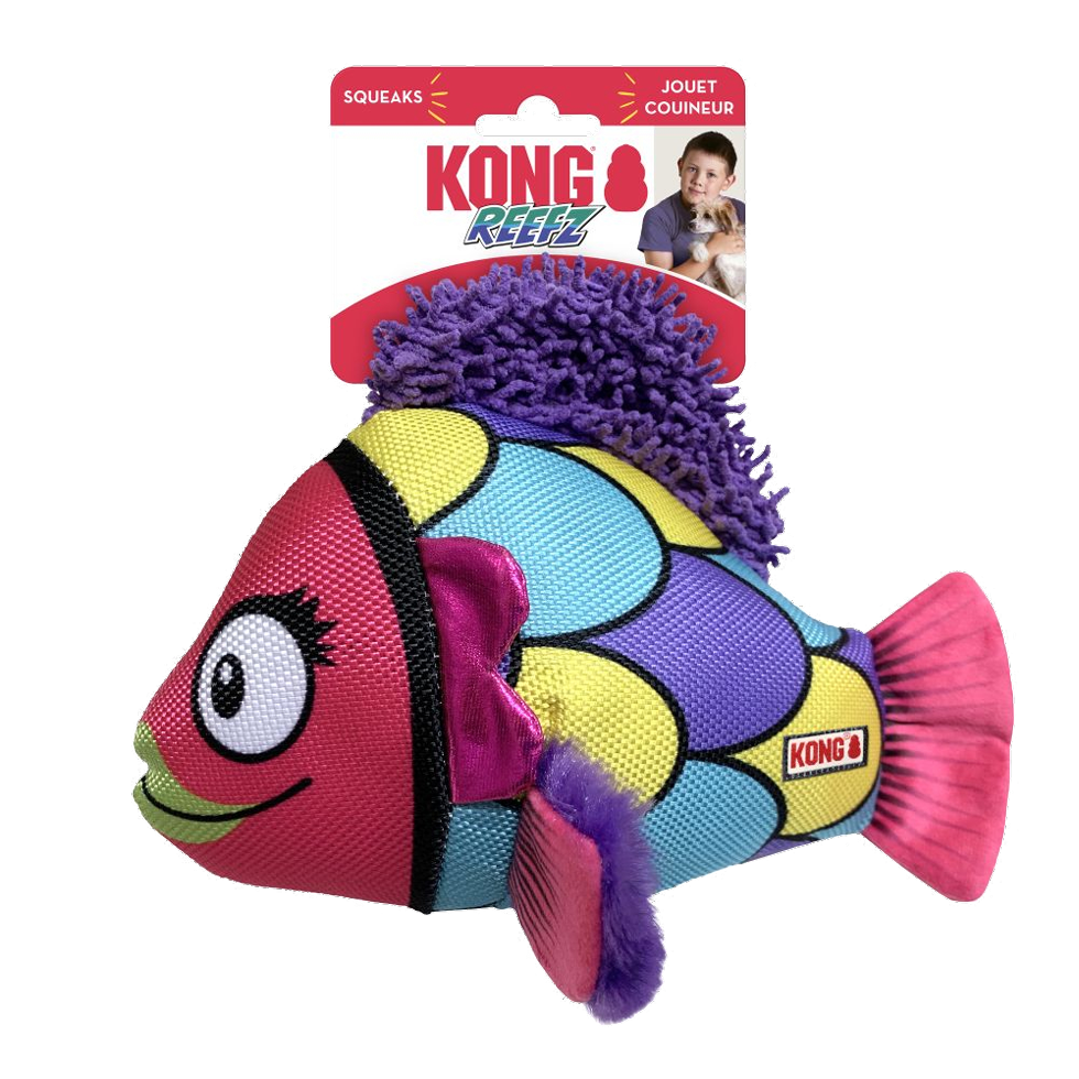 KONG Reefz Assorted Lg