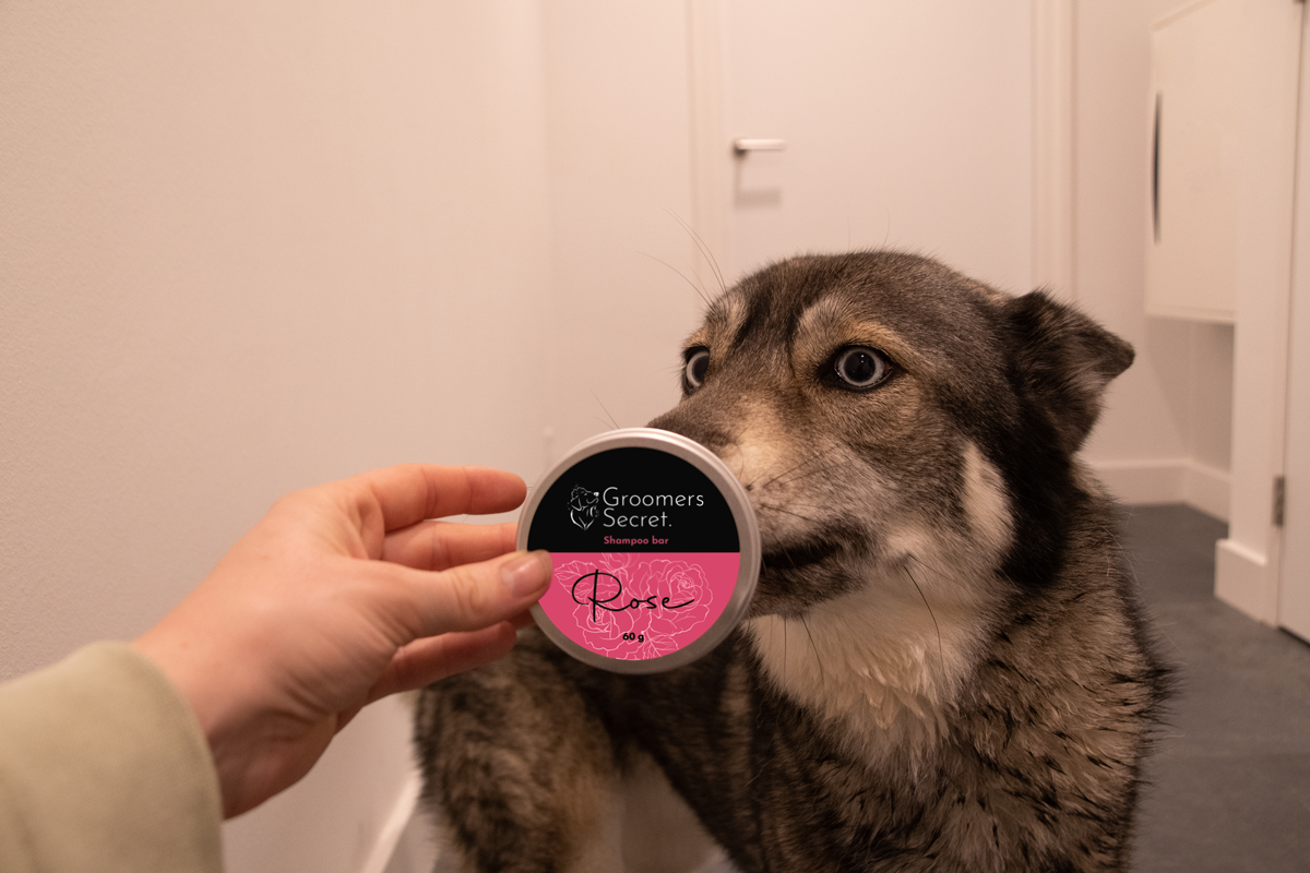 Groomers Secret Shampoo bar Rose