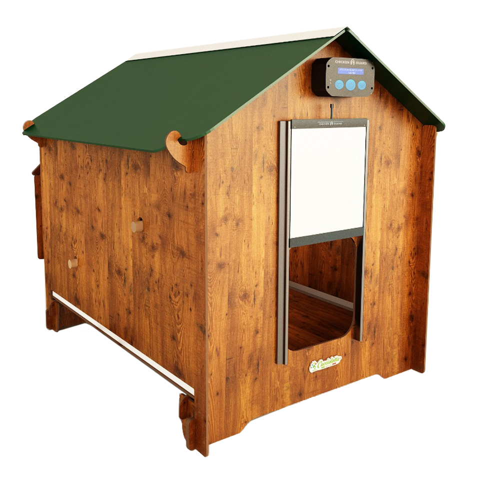 Chicken coop Polly Classic Taglia L