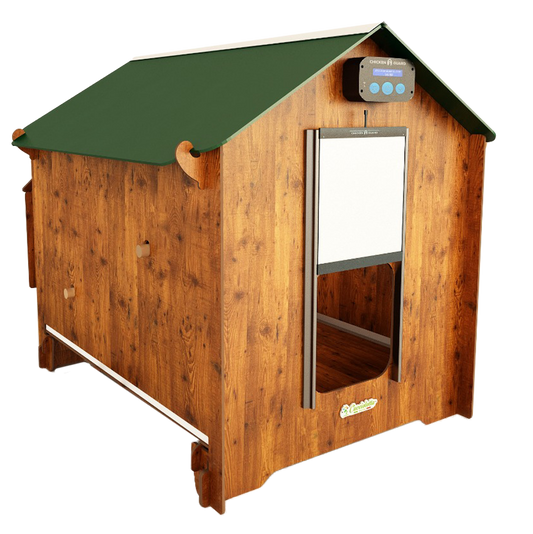 Chicken coop Polly Classic Taglia XL