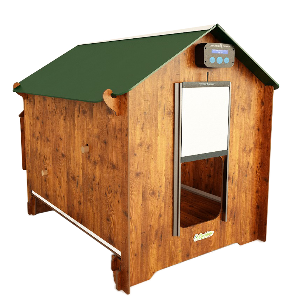 Chicken coop Polly Classic Taglia 2 XL