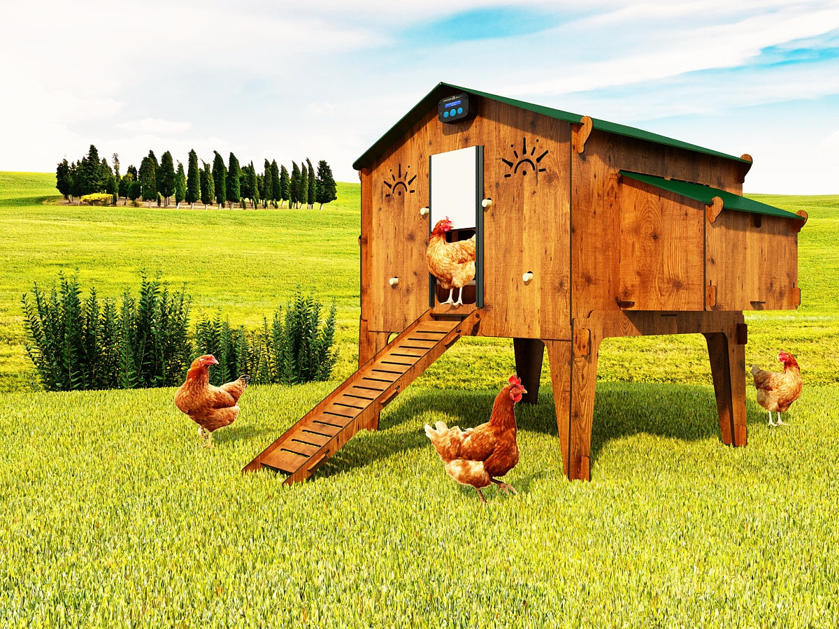 Chicken coop Polly Duplex 4 XL